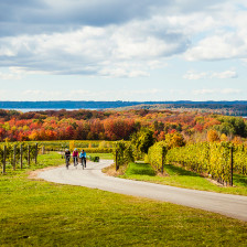 Bikers riding through a vineyard beside Grand Traverse Bay near Traverse City, Michigan