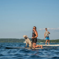 Paddleboarders on the water near Traverse City, Michigan